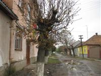 'Straat' in Beregovo